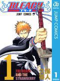 BLEACH─ブリーチ─ STARTER BOOK