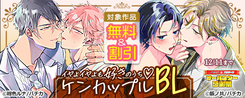 イヤよイヤよも好きのうち　ケンカップルBL