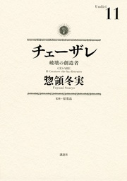 （１１）　破壊の創造者