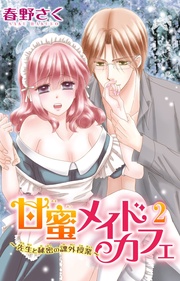 2巻~先生と秘密の課外授業~