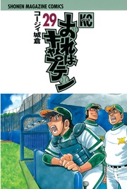 （２９）