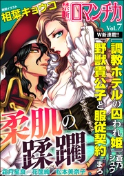 Vol.007柔肌の蹂躙