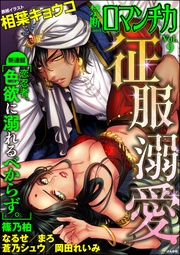 Ｖｏｌ．００９征服溺愛