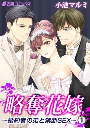 （1）　義弟イケメンのむりやりエッチ