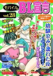 vol.28