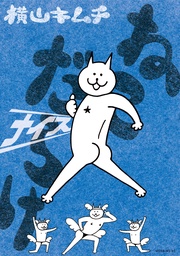 （３）　ナイス