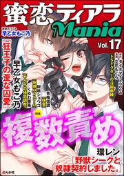 複数責め　Vol.17