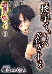 3～壊れていく音がする