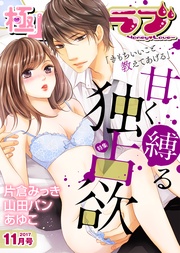2017年11月号【甘く縛る独占欲】