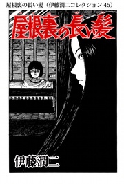 屋根裏の長い髪（ 45）