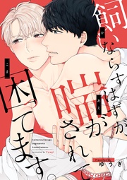 （6）　本気の恋、満たされるsex