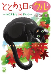 3 ねこまわりクルまわり