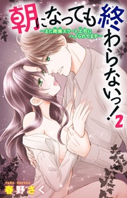 ~また絶倫エリート上司にハメられてます~2