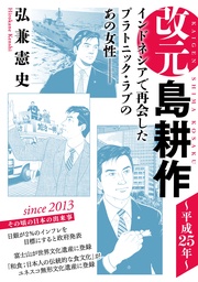 （２９）　～平成２５年～