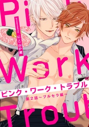 (2) ～ブルセラ編～