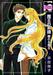 （3） 眠れる魔王