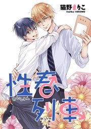 （２）性春思春期