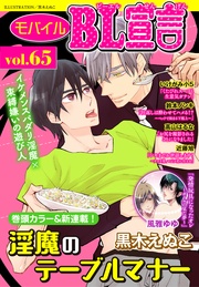 vol.65