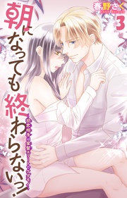 ~初恋相手は金髪エリートでケダモノ~ 3