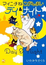 デイ＆ナイト