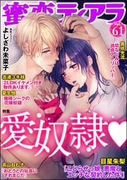 愛奴隷　Ｖｏｌ.６１