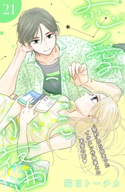 （２１）