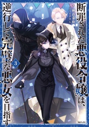 3【電子書籍限定書き下ろしSS付き】