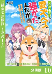 （ノヴァコミックス）１０