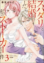 【かきおろし漫画付】 (3)