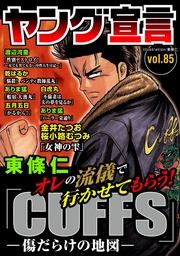 Vol.85