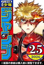 2026年25号