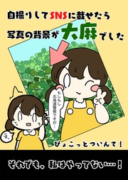 サンプル