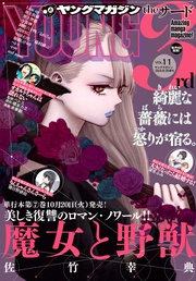 2020年 Vol.11 [2020年10月6日発売]