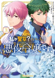 3【電子限定おまけ付き】