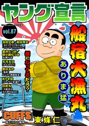 Vol.87