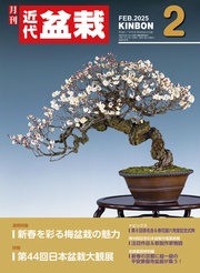 2025年2月号