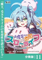 （ノヴァコミックス）１１