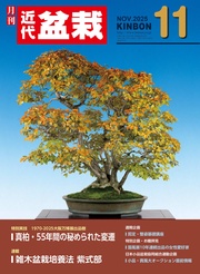 2025年11月号