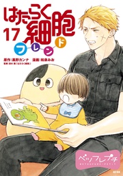 （１７）