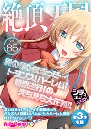 vol85 ~男の夢が詰まった…トランス!ハーレム!時間逆行!のえちえち大正義!!~【シチュコレ!シリーズ】