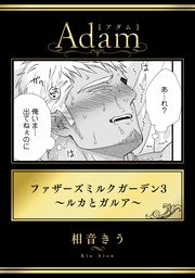 3～ルカとガルア～