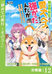 （ノヴァコミックス）１２