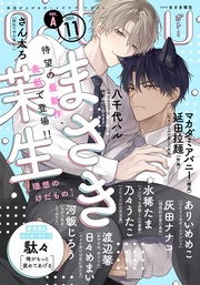 2025年11月号[雑誌] ver.A