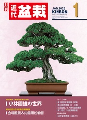 2025年1月号