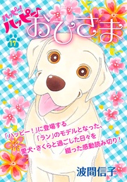 （１７）　特別編：おひさま