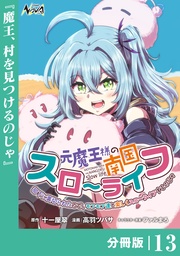 （ノヴァコミックス）１３