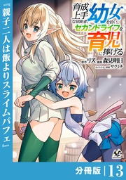 （ノヴァコミックス）１３