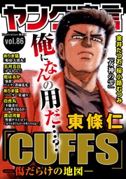 Vol.86