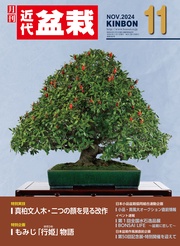 2024年11月号