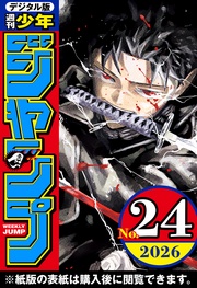 2026年24号